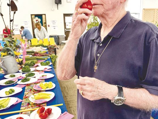 Bill Luedecke applies all his horticultural knowledge and good taste while judging tomatoes for the Burnet County Fair. The public is invited to tour the event Friday and Saturday. Find more details Inside. Martelle Luedecke/Luedecke Photography