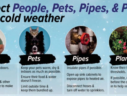 Batten down the hatches for the freeze