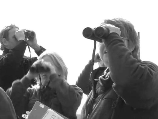 The group hopes to promote interest and education about birding and the fun location at Inks with events such as the Big Sit, the month-long, state-wide Birding Classic. Contributed photo