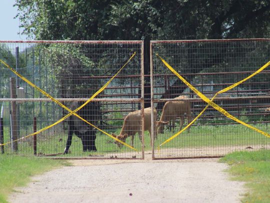 Ex-commissioner found guilty on livestock cruelty charges