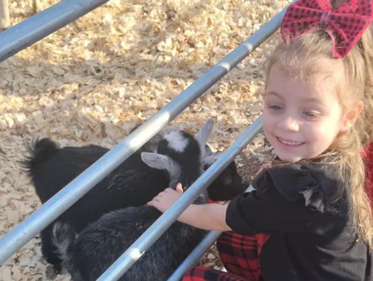 A 4-year-old girl, identified as 'Isabella Rayne' in an online fundraising campaign, died in an RV fire in Spicewood on Jan. 22. Contributed photo