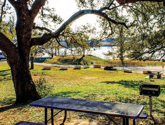 Community park needs outpace Kingsland Chamber resources
