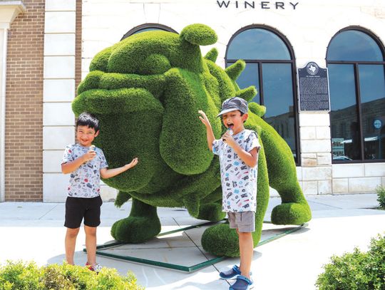 Ryder and Jaxson Moran were intrigued with the newest addition on the Burnet County Courthouse square May 17. The city of Burnet added the installation which pays homage to the Burnet school district mascot. Martelle Luedecke/Luedecke Photography