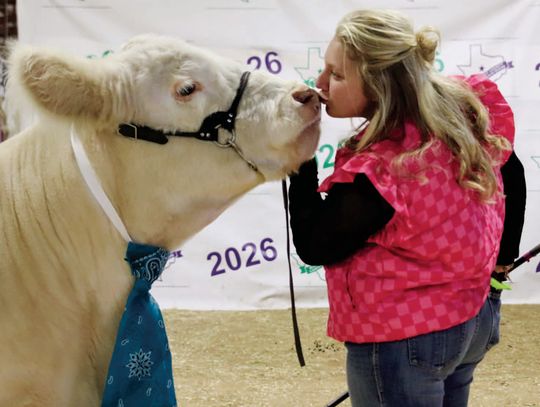County livestock event showcases top youth