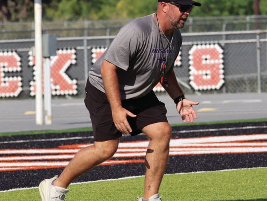 Defensive coordinator checking schemes for best t