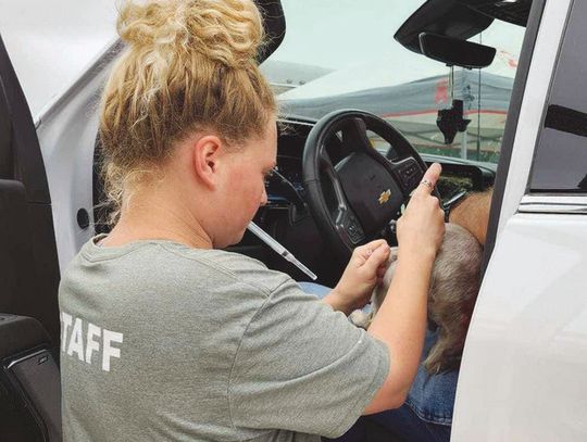 Dani Wolff of Hill Country Humane Society administers a vaccine to a pet, during a June 15 drive-through mobile clinic at the Burnet County Fairgrounds in Burnet. Organizers also hosted additional free clinics this week in Granite Shoals on June 26 and in Burnet on June 27. Contributed/HCH...