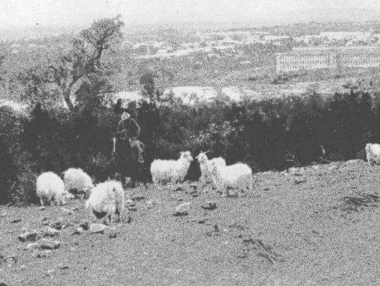 Falls museum calendar contest deadline May 2