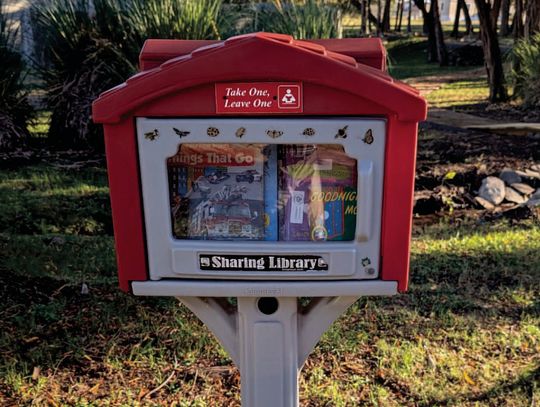 Fox Park's Little Library starts children's book drive