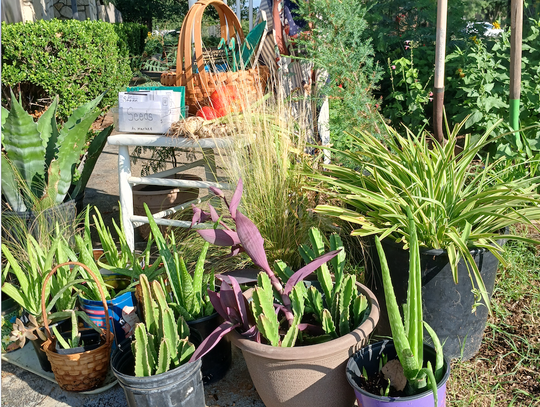 If you have plants, seeds, garden equipment you'd like to sell or trade with other gardeners, reserve a spot and set your own prices. Bring a few things or a truckload.
