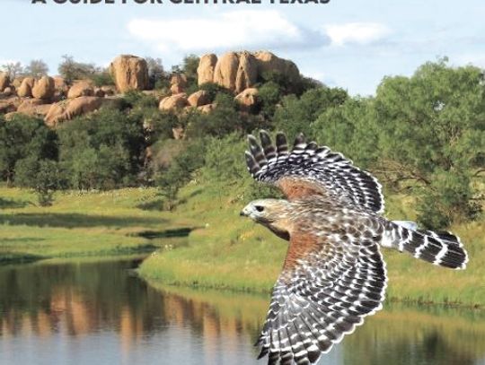 A new book on Central Texas Birds features 107 species with descriptions and photographs of their habitats.