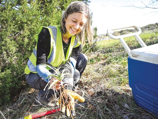Ashley Landry founded the Native Plant Rescue Project (NPRP) and will speak to