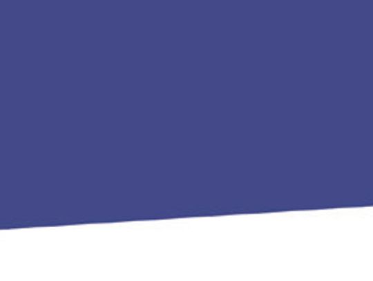 Alt Text for Image