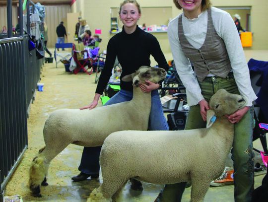 Ballerinas Grace and Lily Carpenter moved from stage to ring Jan. 9 for the Llano County Livestock Show at John L. Kuykendall Event Center. Photos by Martelle Luedecke/Luedecke Photography