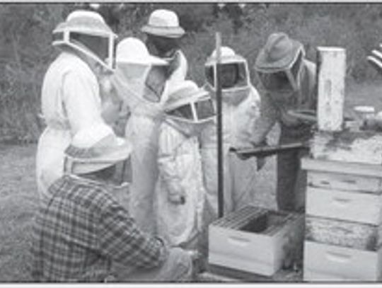 Contributed photo Safely handling bees can help lower your property taxes as well as being a fun family activity and providing honey for your table.