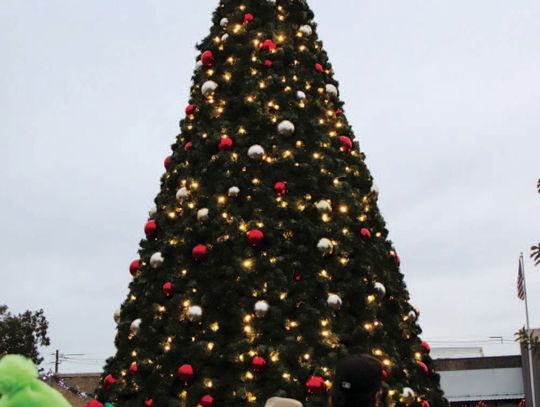 Marble Falls tree lighting ceremony tonight at Harmony Park