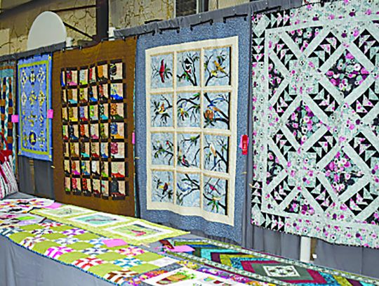 Burnet County Area Fair returns on June 5 at the AgriLife Auditorium. The fair is open to the public on June 7-8, with presentations, an ice cream crank-off and cooking demonstrations and, of course, displays of entries. Contributed