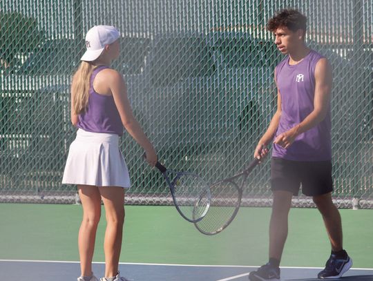 Netters apply coaching, strategy in big district win