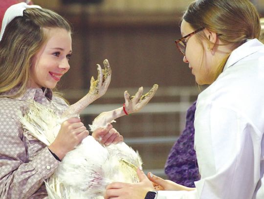 Amory Jackson listened as Kailey Kulhanek judged her market turkey Jan. 2, at the 2025 Burnet County Livestock Show held at the Burnet County Fairgrounds. Find more photos on Pages 7 &amp; 8. Abigail Clayton/4H Photography