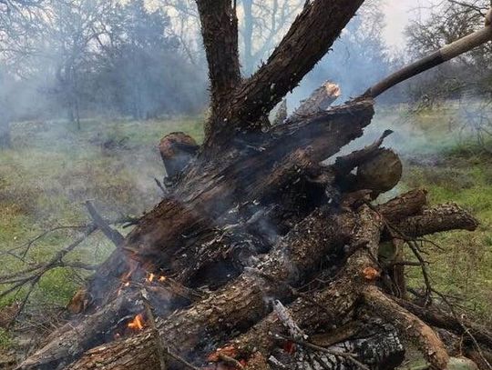 Rain prompts counties to allow outdoor burning