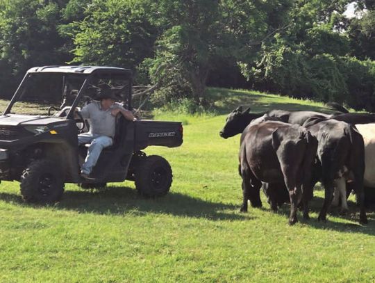 Ranchers, auction barns monitor screwworm outbreak