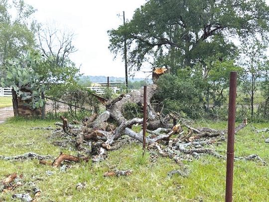 A thunderstorm May 22 with quite the lightning show swept through the area, including Timber Ridge, causing damage to property, trees and vehicles with high winds and hail. Connie Swinney/The Highlander