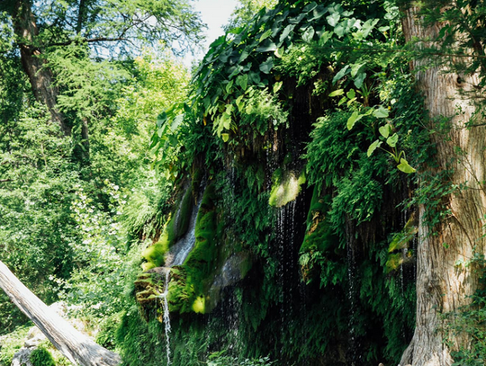 Study assessing Spicewood area groundwater