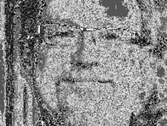 Alt Text for Image