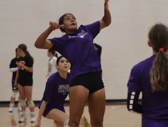 Volleyball team’s coaching strategy coming into focus