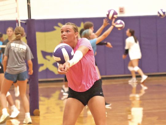 Volleyball team to be challenged starting with pre-district schedule