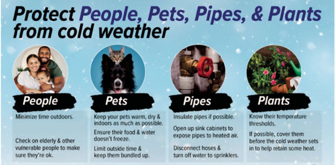 Batten down the hatches for the freeze Batten down the hatches for the freeze