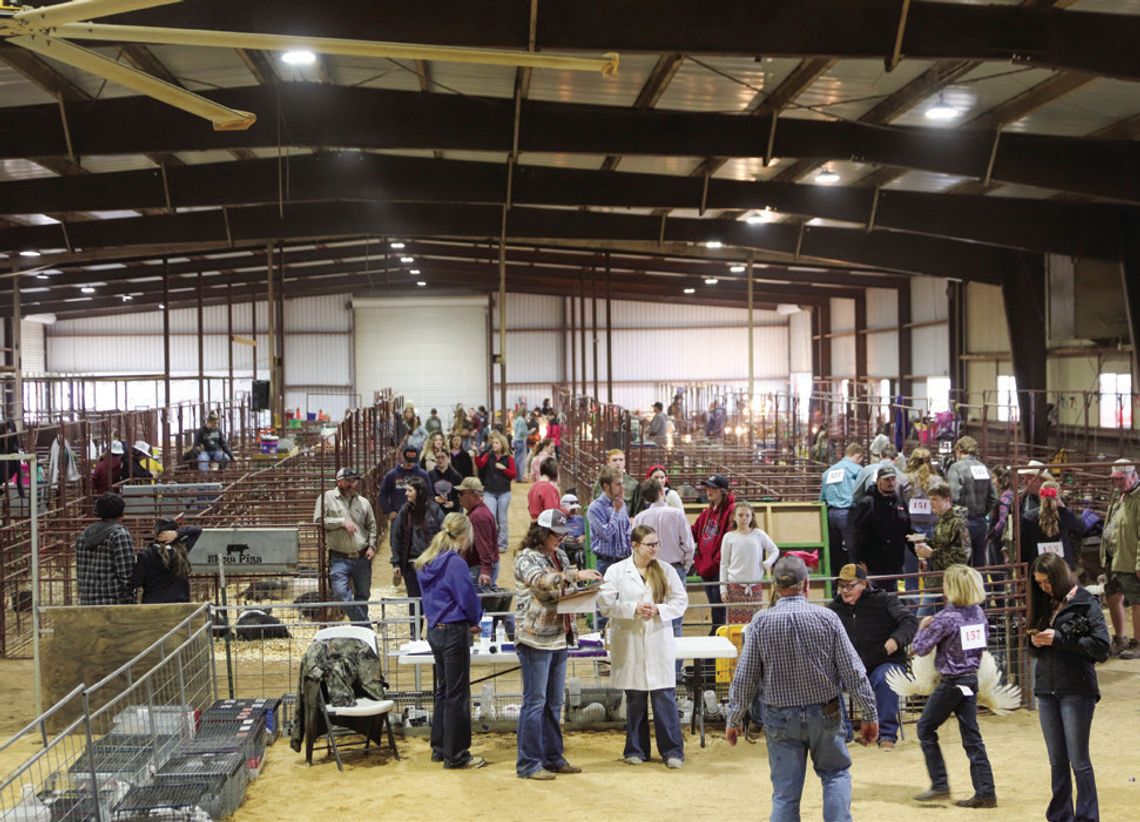 Burnet County Livestock Show Burnet County Fairground bustled throughout the Burnet County Livestock Show Jan. 2-4, 2025. Photo by Allison Morrow/Luedecke Photography