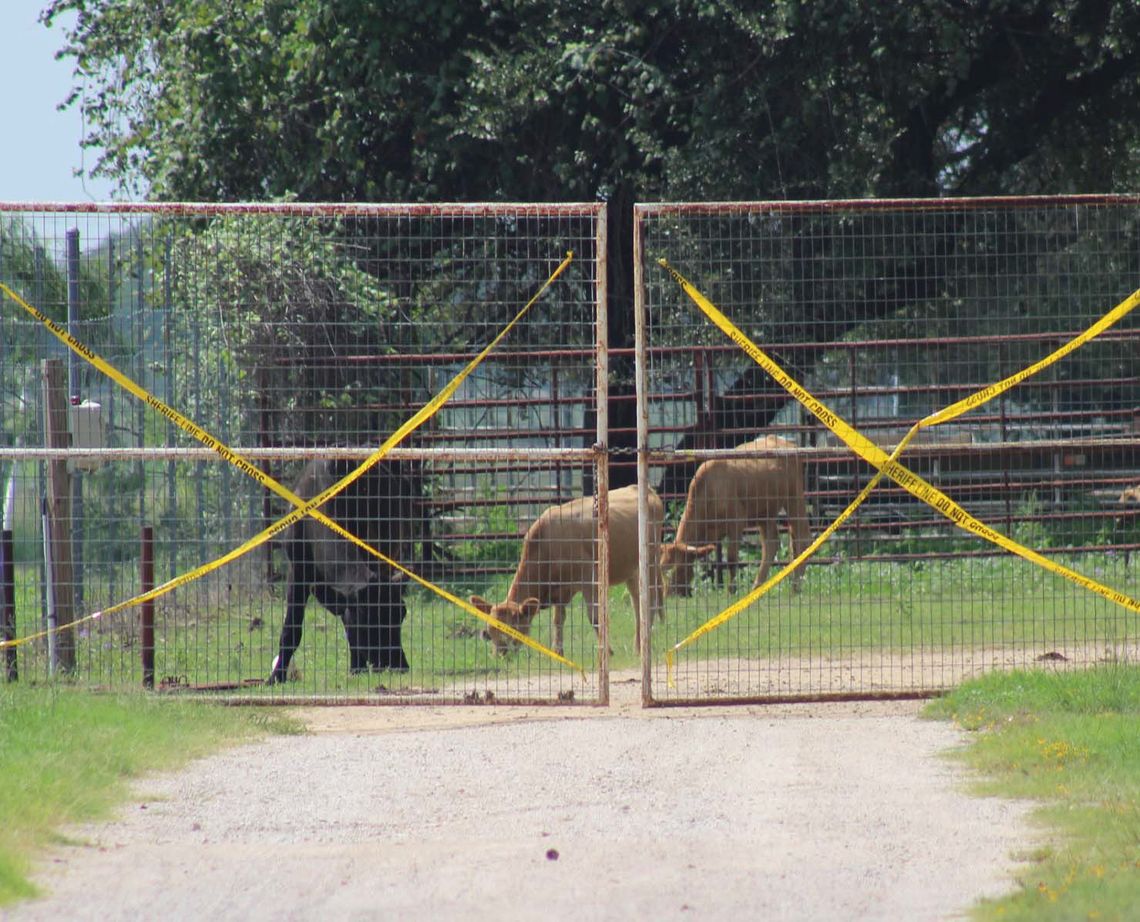 Ex-commissioner found guilty on livestock cruelty charges Ex-commissioner found guilty on livestock cruelty charges