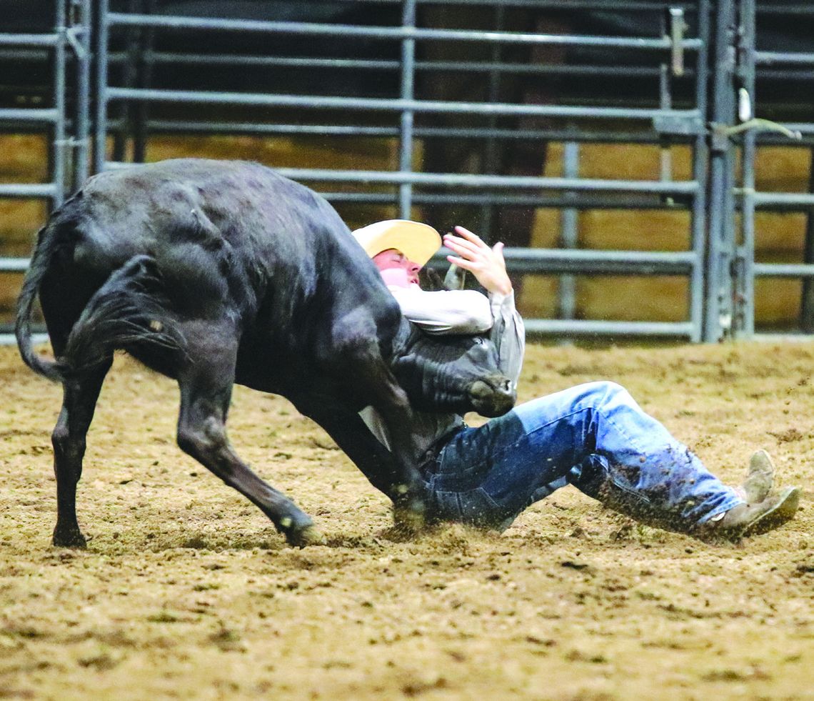 Colton Wilson of Bertram made his mark as a steer wrestler competing Friday night at the 89th Llano Pro Rodeo held at the John L. Kuykendall Arena &amp; Events Center. Burnet County native Ayden Dale also competed in bull riding. Martelle Luedecke/Luedecke Photography