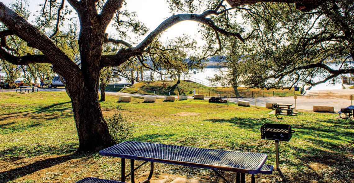 Community park needs outpace Kingsland Chamber resources