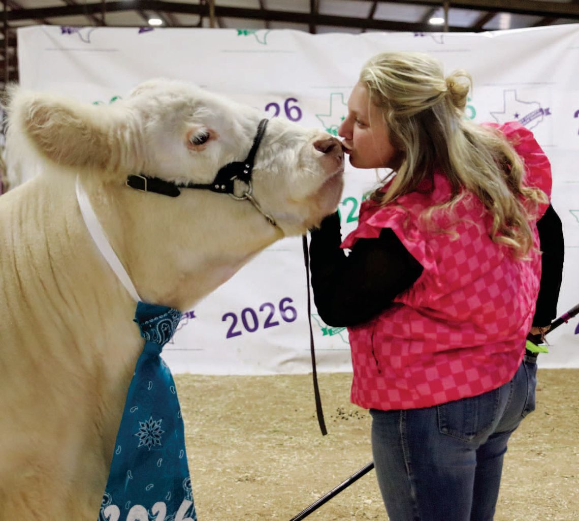 County livestock event showcases top youth