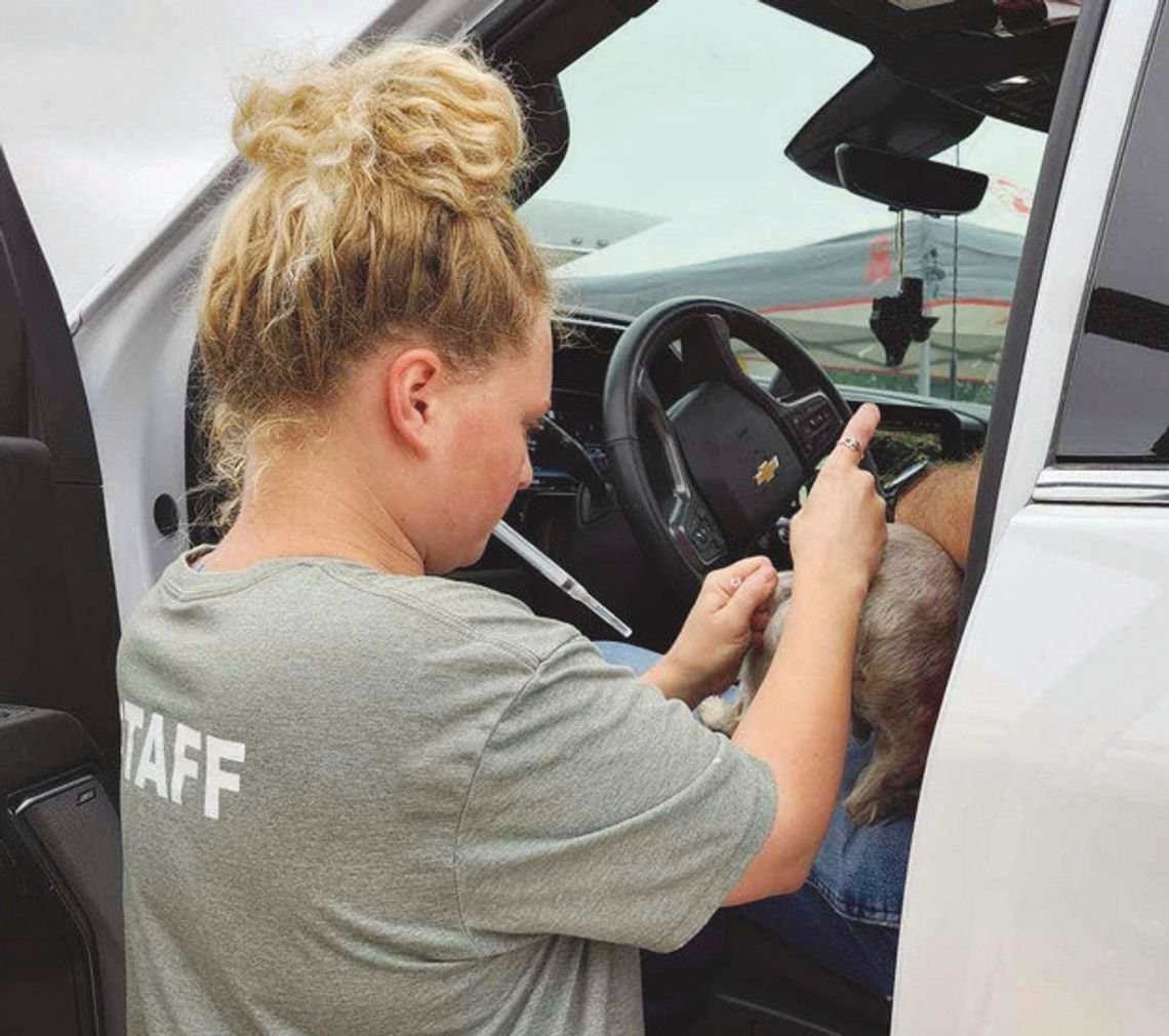 Dani Wolff of Hill Country Humane Society administers a vaccine to a pet, during a June 15 drive-through mobile clinic at the Burnet County Fairgrounds in Burnet. Organizers also hosted additional free clinics this week in Granite Shoals on June 26 and in Burnet on June 27. Contributed/HCH...