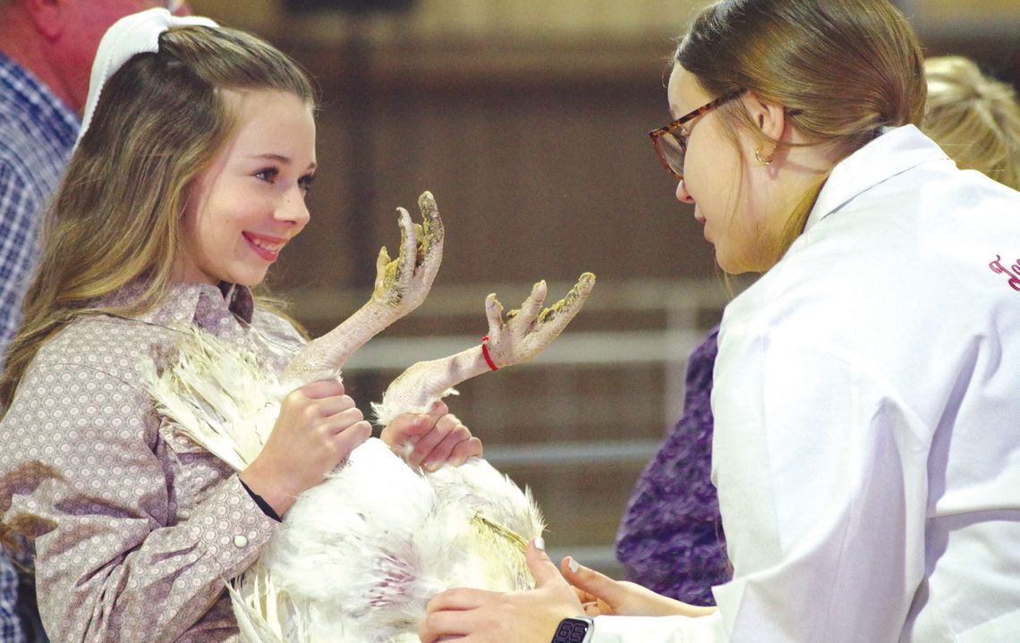 Amory Jackson listened as Kailey Kulhanek judged her market turkey Jan. 2, at the 2025 Burnet County Livestock Show held at the Burnet County Fairgrounds. Find more photos on Pages 7 &amp; 8. Abigail Clayton/4H Photography