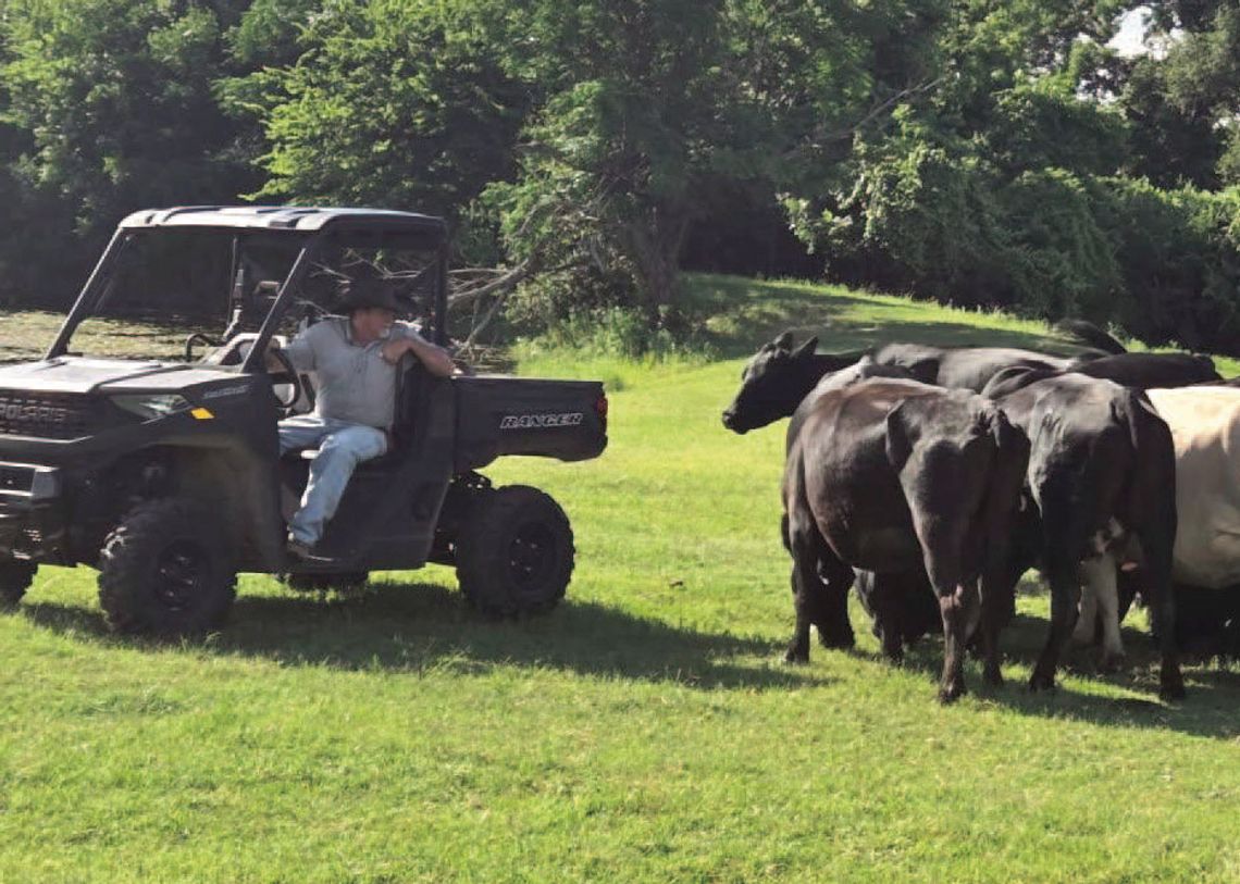 Ranchers, auction barns monitor screwworm outbreak Ranchers, auction barns monitor screwworm outbreak