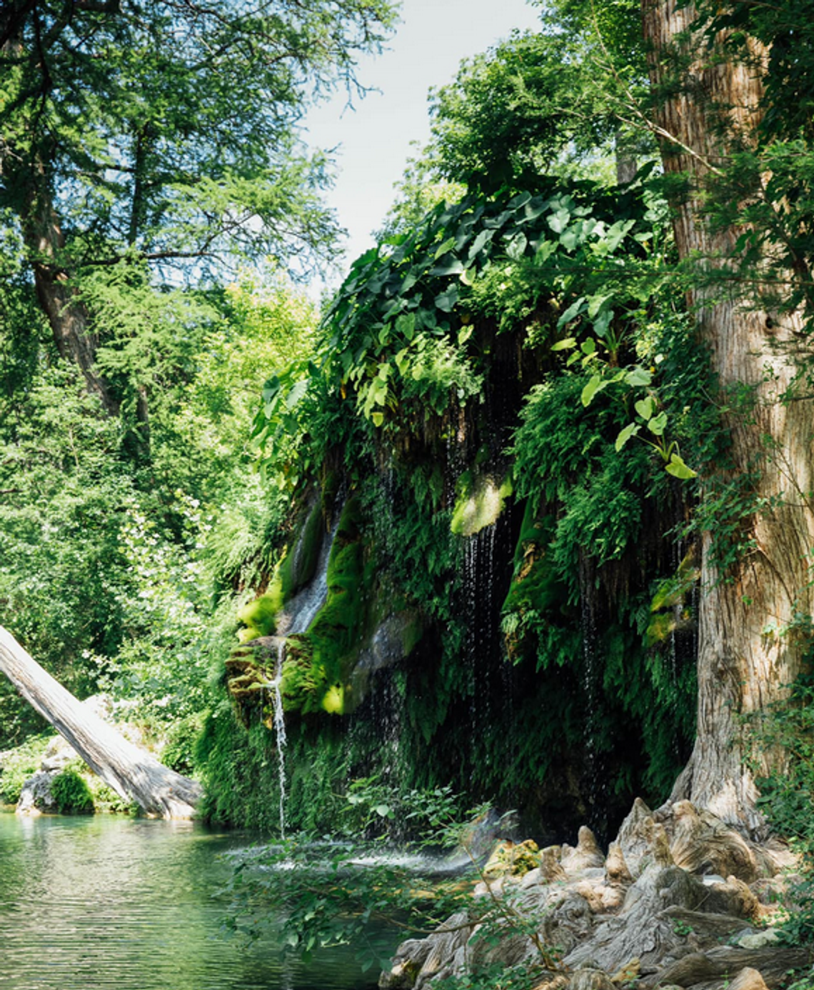 Study assessing Spicewood area groundwater