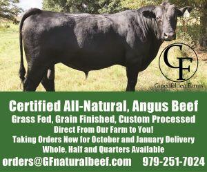 Angus Beef